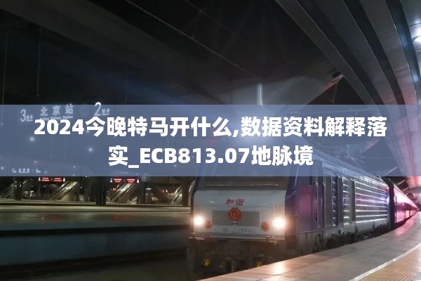 2024今晚特马开什么,数据资料解释落实_ECB813.07地脉境