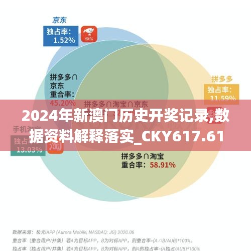 2024年新澳门历史开奖记录,数据资料解释落实_CKY617.61地极境