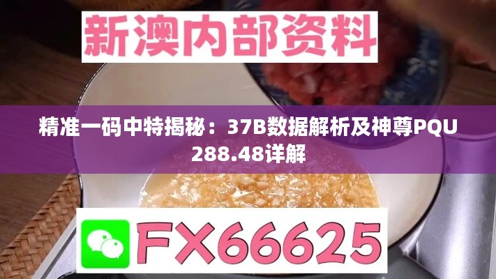 新闻资讯 第639页