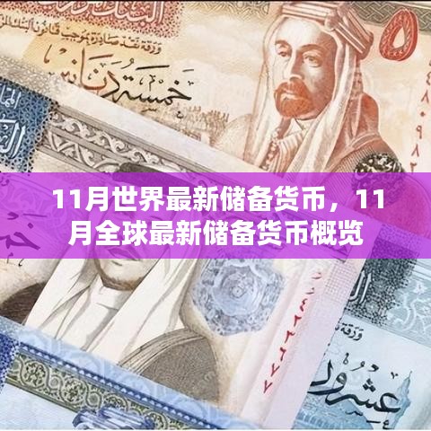 全球最新储备货币概览，11月世界最新储备货币动态