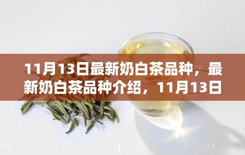 最新奶白茶品种亮相，11月13日的亮点介绍