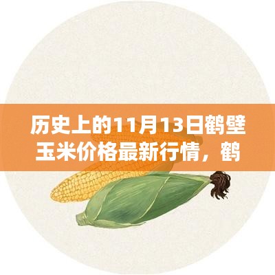 历史上的11月13日鹤壁玉米价格行情解析与最新市场动态指南