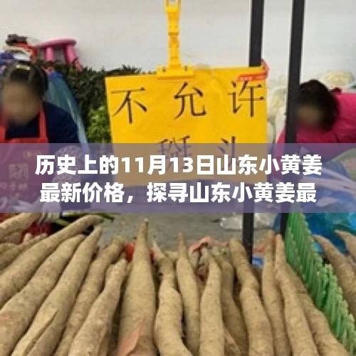 探寻山东小黄姜最新价格，历史上的11月13日市场走势解析与最新价格概览