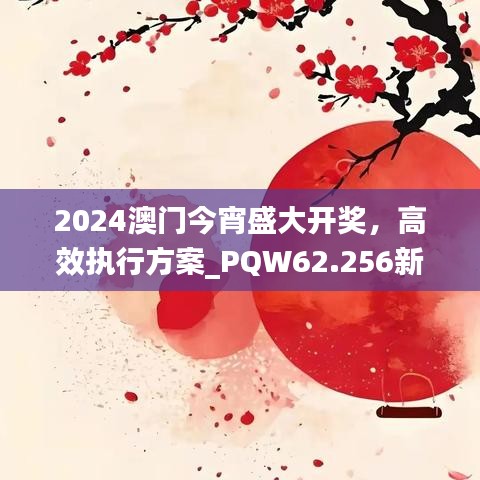 2024澳门今宵盛大开奖，高效执行方案_PQW62.256新版揭晓