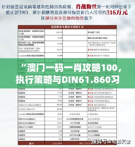 “澳门一码一肖攻略100，执行策略与DIN61.860习惯优化版”