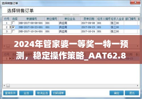 2024年管家婆一等奖一特一预测，稳定操作策略_AAT62.827亲和版