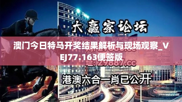 澳门今日特马开奖结果解析与现场观察_VEJ77.163便签版