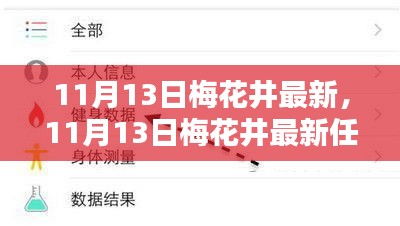 11月13日梅花井最新任务完成步骤指南，初学者与进阶用户通用