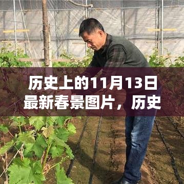 揭秘历史上的11月13日春景图片，最新春景一览无余