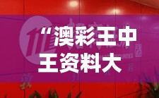 “澳彩王中王资料大全免费，GSE94.555行业版执行策略方案”