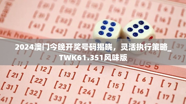 2024澳门今晚开奖号码揭晓，灵活执行策略_TWK61.351风味版