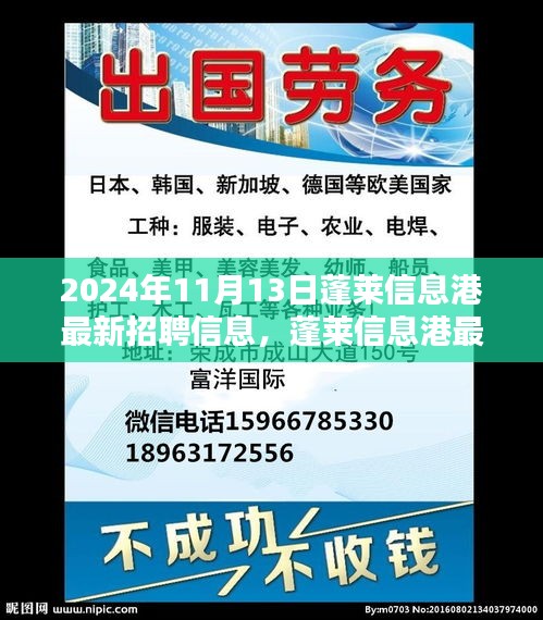 2024年蓬莱信息港最新招聘信息全解析及测评介绍