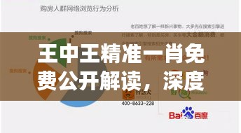 王中王精准一肖免费公开解读，深度剖析WLP94.697效率版