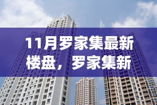 罗家集最新楼盘，家的温馨与友情的邂逅十一月专享房源发布