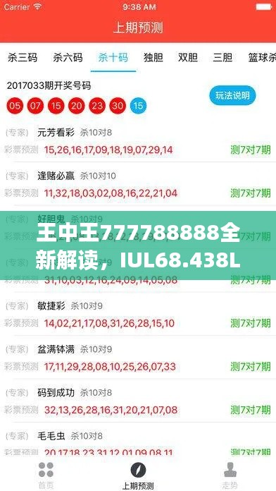 王中王777788888全新解读，IUL68.438L版详解