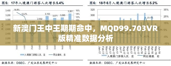 新澳门王中王期期命中，MQD99.703VR版精准数据分析