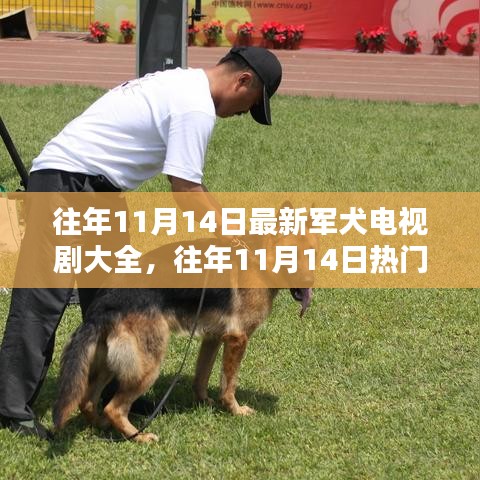 往年11月14日热门军犬题材电视剧概览，最新电视剧大全与一览