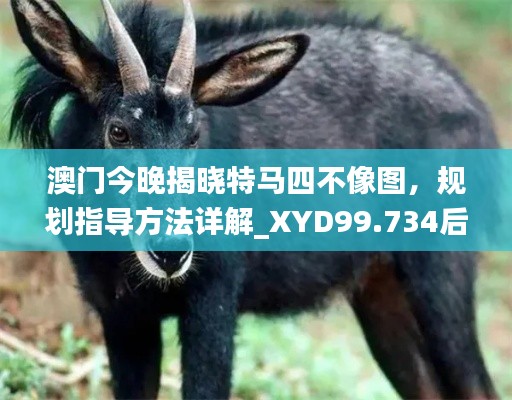 澳门今晚揭晓特马四不像图，规划指导方法详解_XYD99.734后台资讯