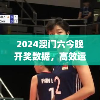 2024澳门六今晚开奖数据，高效运行支持_EVM23.451套件版