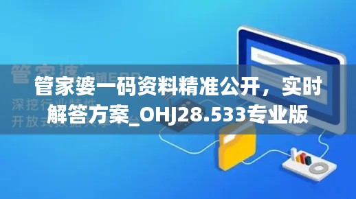 管家婆一码资料精准公开，实时解答方案_OHJ28.533专业版