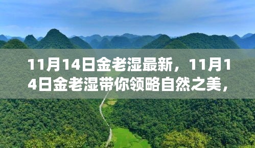 11月14日金老湿带你领略自然之美，寻找内心平静的奇妙之旅