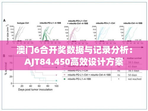 新闻资讯 第617页