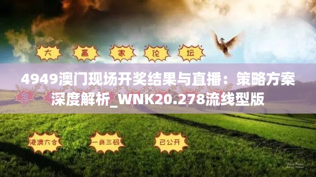 4949澳门现场开奖结果与直播：策略方案深度解析_WNK20.278流线型版