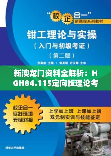 新澳龙门资料全解析：HGH84.115定向版理论考证