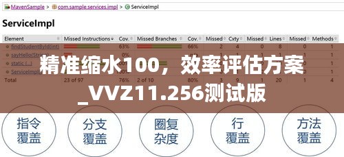 精准缩水100，效率评估方案_VVZ11.256测试版