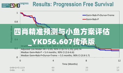 四肖精准预测与小鱼方案评估_YKD56.607传承版