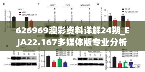 626969澳彩资料详解24期_EJA22.167多媒体版专业分析