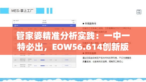 管家婆精准分析实践：一中一特必出，EOW56.614创新版