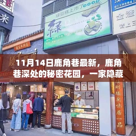 鹿角巷深处的秘密花园，特色小店探秘之旅