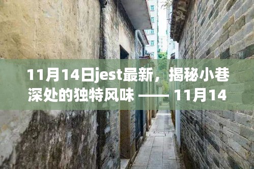 揭秘小巷深处的独特风味，最新Jest特色小店探秘之旅