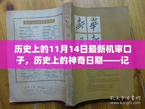 温馨有趣的机审口子故事，历史上的神奇日期——11月14日的最新机审口子记录