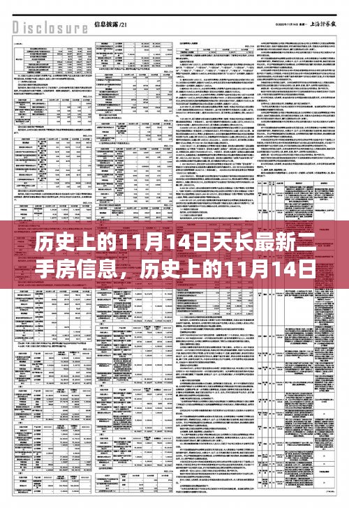 历史上的11月14日天长最新二手房市场动态，探寻市场风云揭秘市场走势