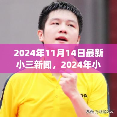 揭秘小三现象，深度解析最新动态与背后的故事（2024年11月报道）