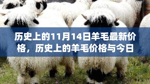 时尚与科技羊毛的完美融合，历史羊毛价格回顾与今日科技羊毛新品之旅