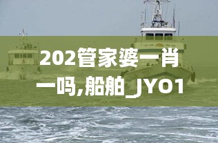 202管家婆一肖一吗,船舶_JYO19.231跨界版