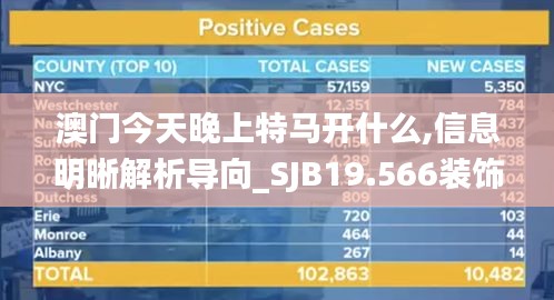 澳门今天晚上特马开什么,信息明晰解析导向_SJB19.566装饰版