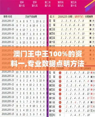 澳门王中王100%的资料一,专业数据点明方法_EHO19.798活动版