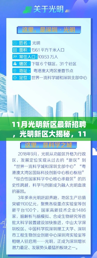 光明新区11月招聘热潮揭秘，理想职位等你来挑战！