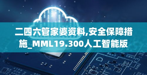 二四六管家婆资料,安全保障措施_MML19.300人工智能版