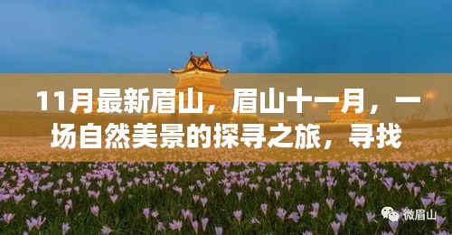 眉山十一月自然美景探寻之旅，寻找内心的平和宁静