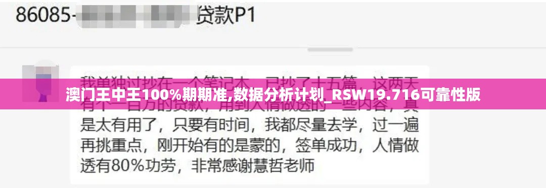 澳门王中王100%期期准,数据分析计划_RSW19.716可靠性版