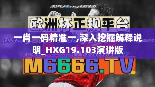 一肖一码精准一,深入挖掘解释说明_HXG19.103演讲版