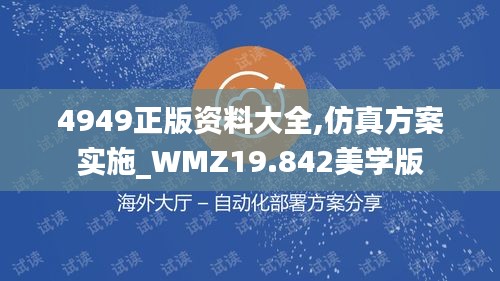 4949正版资料大全,仿真方案实施_WMZ19.842美学版