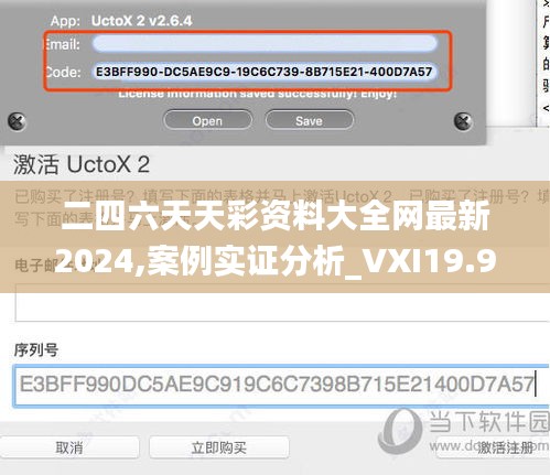 二四六天天彩资料大全网最新2024,案例实证分析_VXI19.959分析版