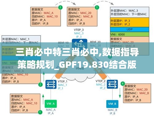 三肖必中特三肖必中,数据指导策略规划_GPF19.830结合版