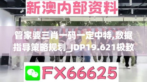 管家婆三肖一码一定中特,数据指导策略规划_JDP19.621极致版